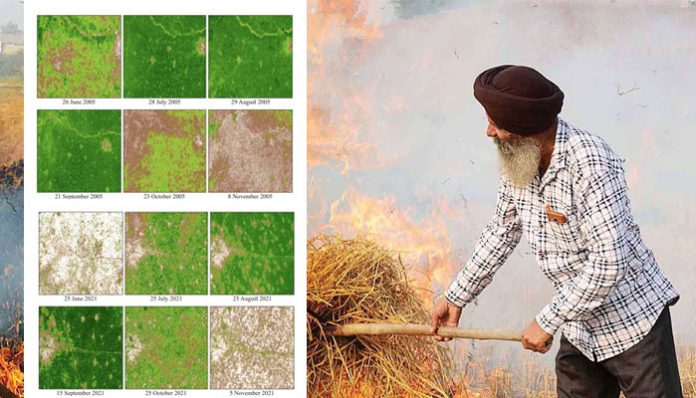 Stubble Burning