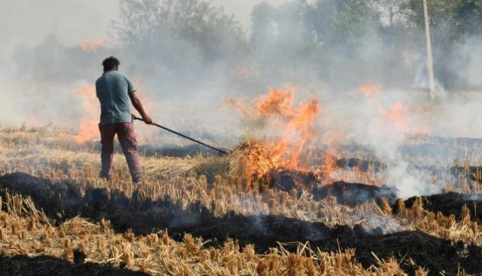 NHRC stubble burning