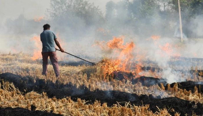 NHRC says farmers can’t be blamed for stubble burning, holds 4 state governments responsible
