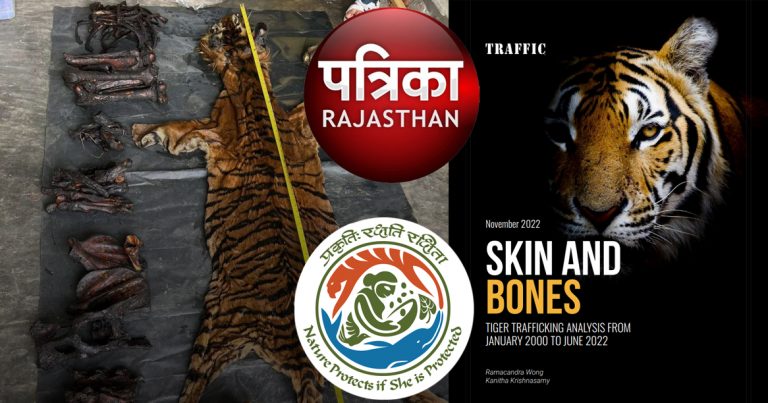 Forest and Environment ministry refutes report claiming Tiger poaching is highest in India, says the report is based on unrealistic assumptions