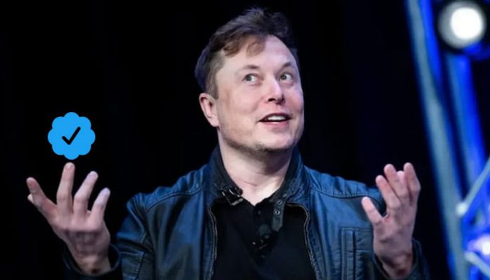 Elon Musk twitter blue