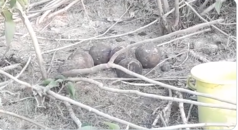 No sh*t Sherlock! The ‘suspicious’ objects found in a Kanpur village turned out to be this