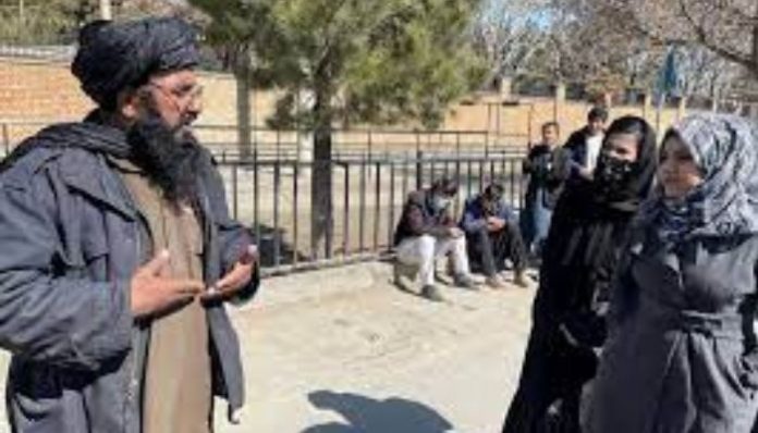 taliban