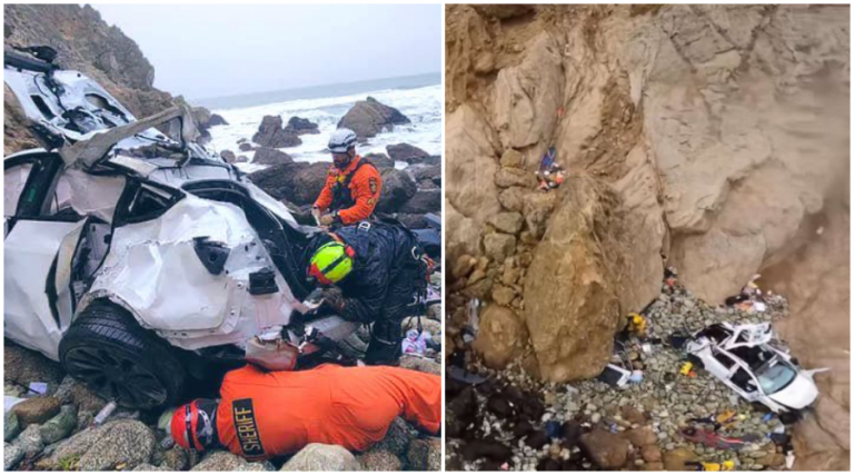 California: Indian-origin man drives his Tesla off 300-foot cliff in a suicide attempt, family of four survives crash