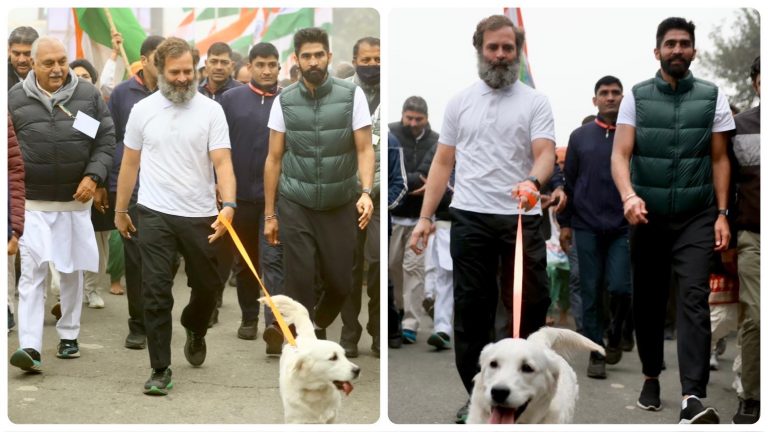 ‘He is Vijender, not a dog’: Netizens react after Congress shares Rahul Gandhi’s pictures with a dog, boxer Vijender Singh as BJY enters Haryana