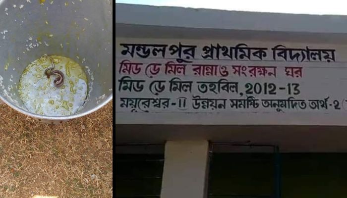 West Bengal: Snake found in mid-day meal served at Birbhum school, several students fall sick