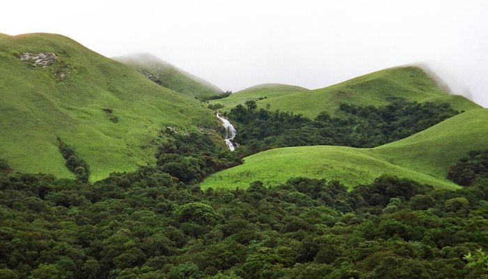 Western and Eastern Ghats may face a similar catastrophe as Joshimath: Report
