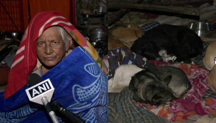 MCD demolishes shanty of Pratima Devi, rendering her and 200 dogs homeless, Delhi HC orders status quo