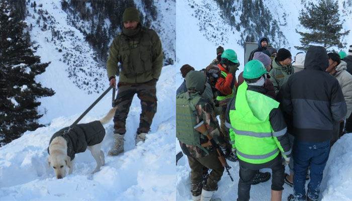 Read how Indian Army worked on war footing to rescue 172 workers stranded in a tunnel after an avalanche hit Sonamarg