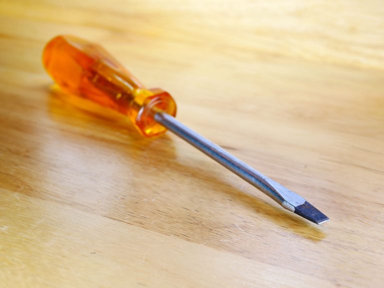 Delhi: Man stabs wife with screwdriver till death in Jahangirpuri, was released from jail before two days