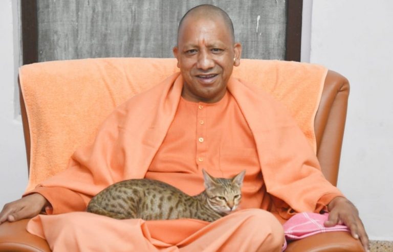 A cat comes and sits in lap of UP CM Yogi Adityanath at his office in Gorakhpur, read details