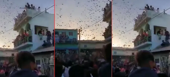 Mehsana: Former Sarpanch Karim Yadav showers cash including Rs 500 notes on the street from his terrace at his nephew’s wedding