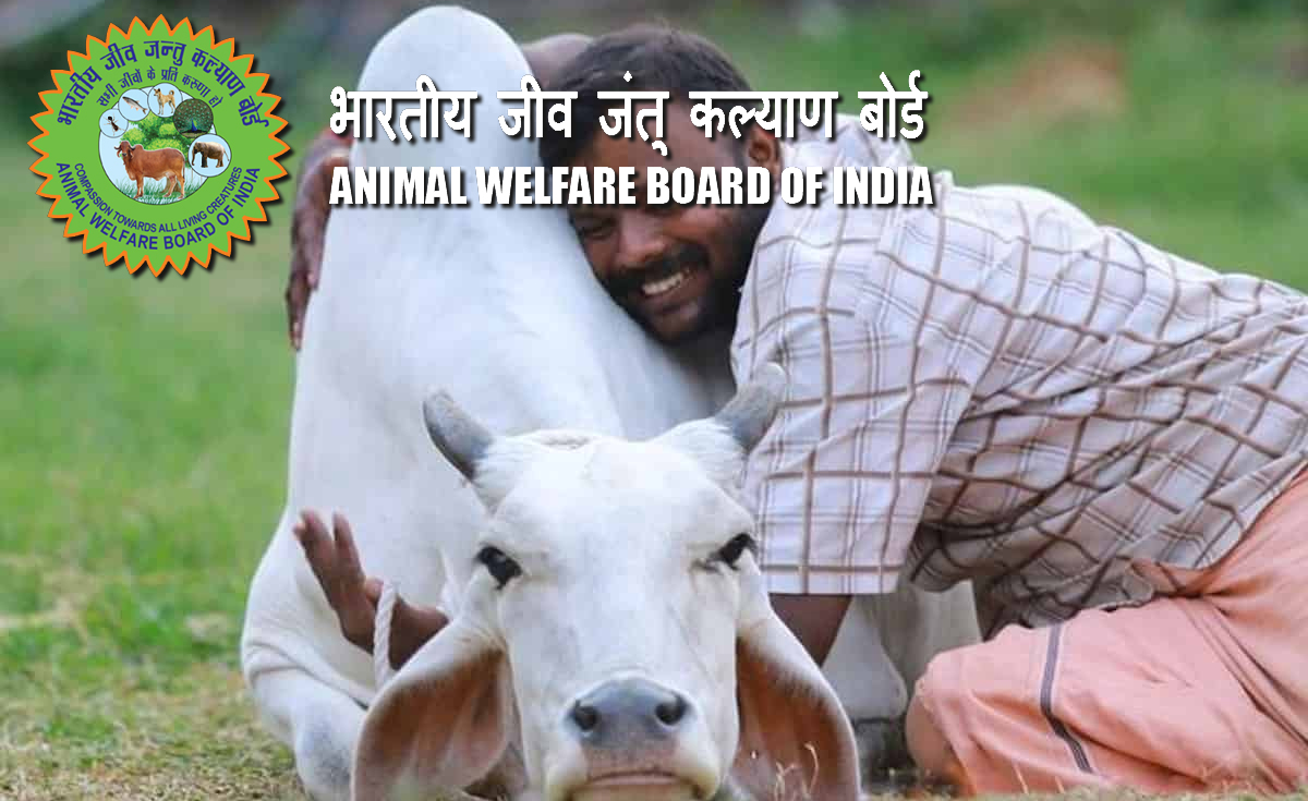 Animal Welfare Board of India withdraws appeal to celebrate ...