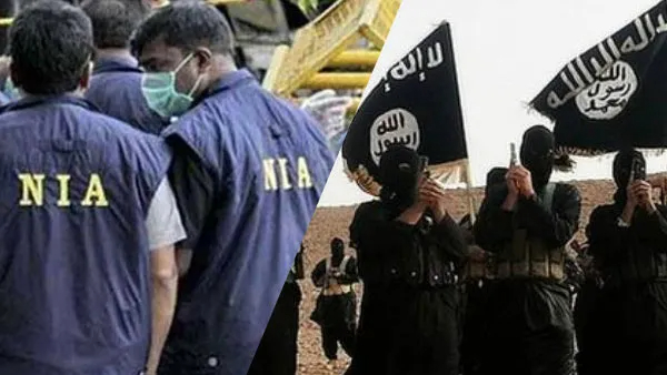 ISIS NIA