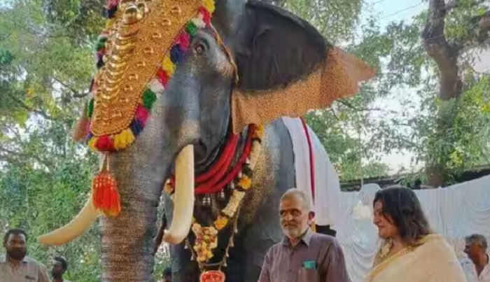 Kerala temple gets a life-sized mechanical elephant donated by PETA, to be used for festivals instead of real elephant