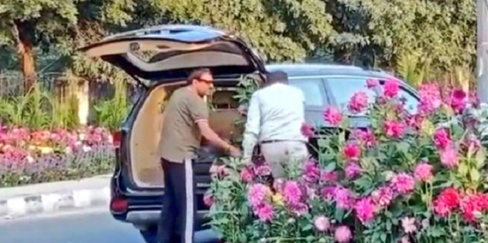 Police identifies, arrests VIP Gurugram man who stole flower pots arranged on the Delhi-Gurugram Expressway for G20 meet