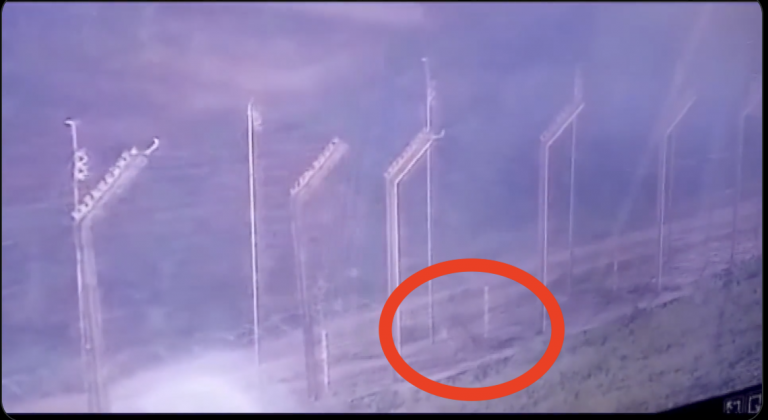 Leopard enters India from Pakistan by crossing the border, netizens welcome this ‘trespassing’