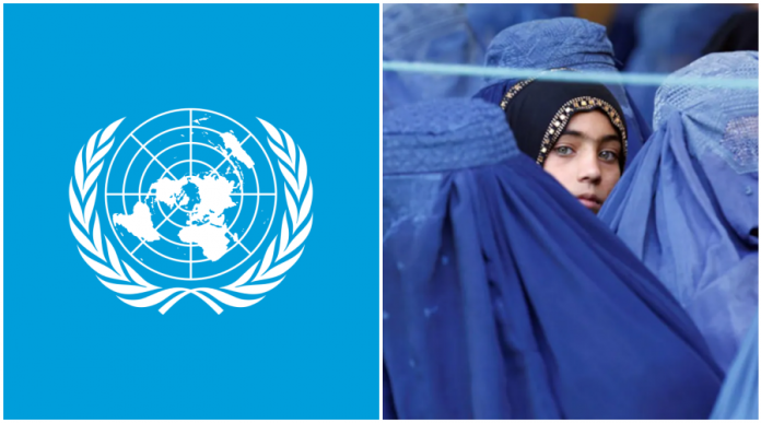 UN says women's rights are vanishing right before our eyes