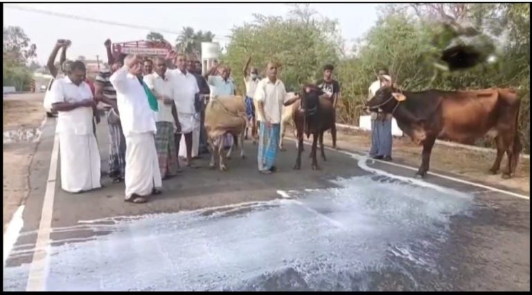 Tamil Nadu: Dairy farmers in Erode throw milk on road during protests demanding an increase in procurement prices