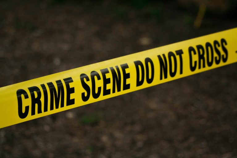 Texas: 3-year-old girl shoots and kills 4-year-old sister after finding a loaded gun in the house