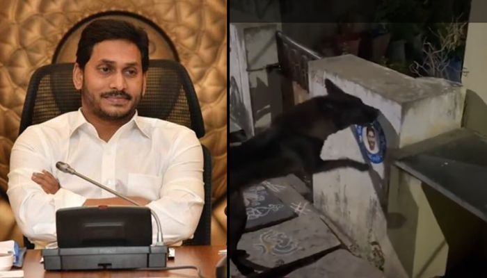 TDP leader files police complaint against a dog for tearing poster of Andhra CM Jagan Mohan Reddy