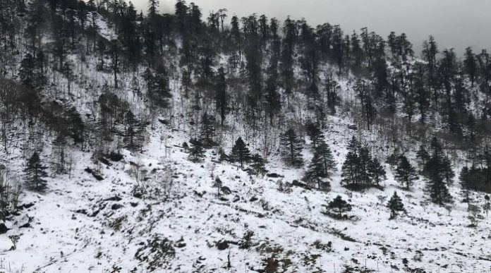 Sikkim avalanche