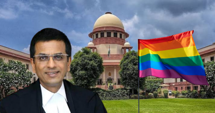 CJI Chandrachud genitals