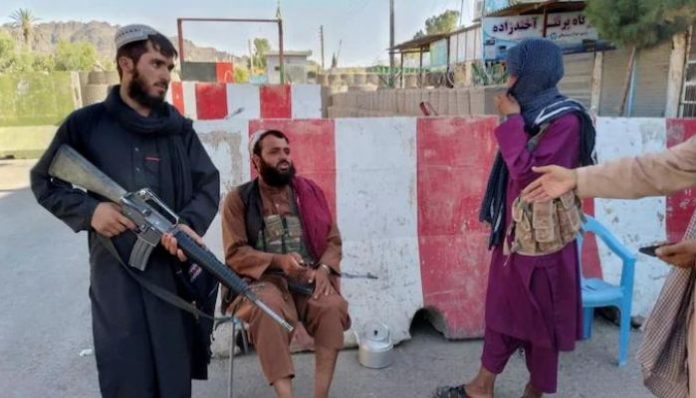 taliban