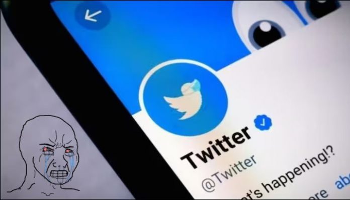 Liberals suffer meltdown after Twitter removes 'legacy verified' blue tick