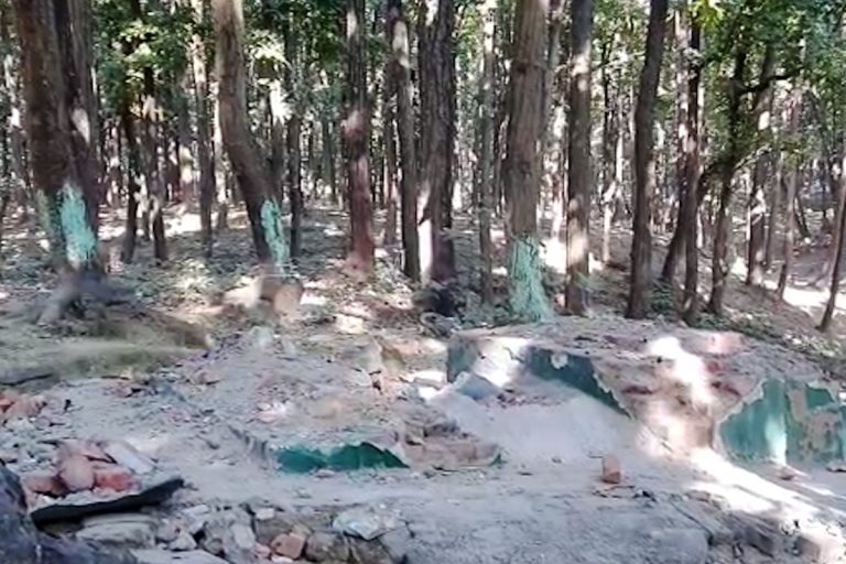 Uttarakhand: Over 300 illegal mazars demolished in Devbhoomi as a part of demolition drive
