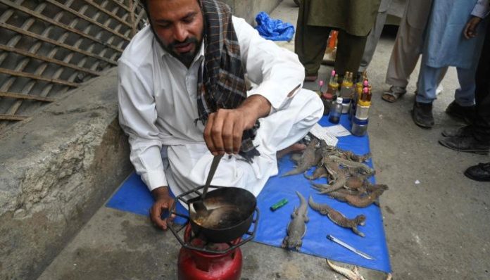 pakistan