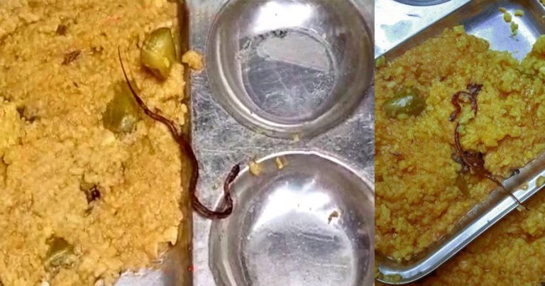 Bihar: Snake found in mid-day meal served to students in a school in Araria, dozens fall sick after over 100 students consume the ‘Khichdi’