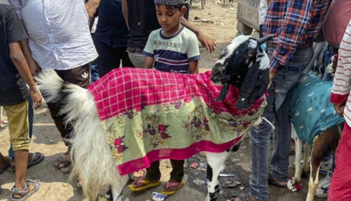 Pakistan police arrest 36 Ahmadis who were organising Qurbani at their homes on Bakrid, last year animals worth Rs 531 billion were sacrificed in Pak