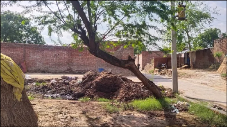 Media gives casteist spin to an argument over cutting off a tree, tries to pit Dalits vs upper castes: Here’s the truth