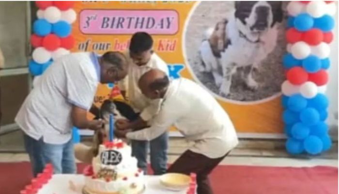 Meerut: College Professor Shamim Ahmed celebrates the birthday of his pet dog, gifts a refrigerator to a guest winning a lucky draw