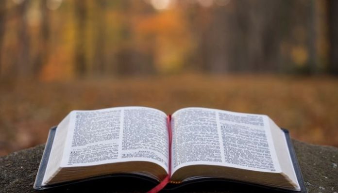 bible