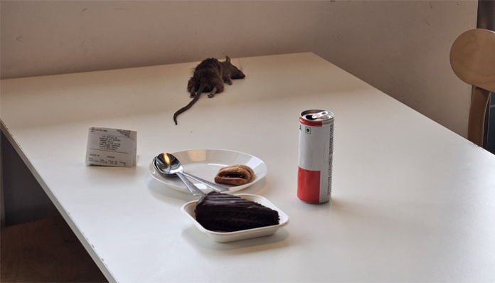 Rat fell on food table in IKEA Bengaluru