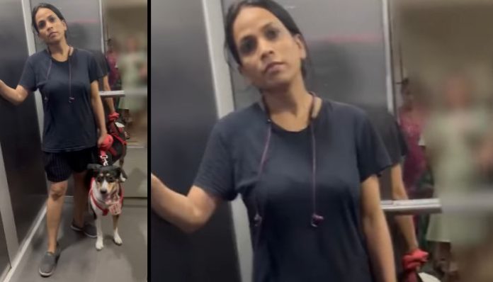 I am better than your wife: Dog owner tells man after being asked to put a muzzle on her pet inside a lift