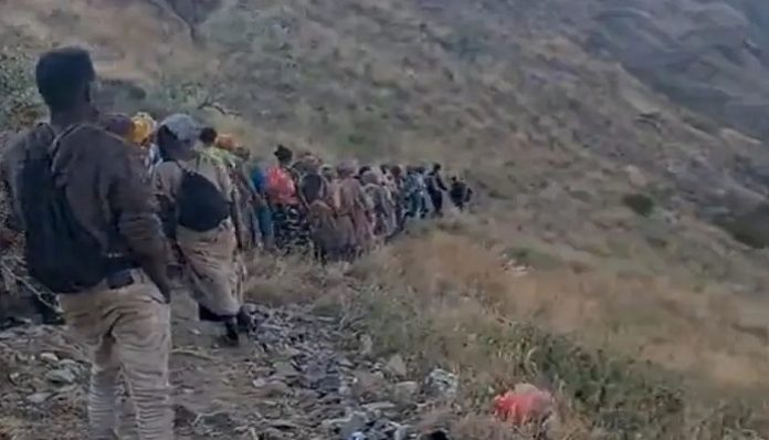 Saudi border guards allegedly killed hundreds of Ethiopian migrants, says HRW report