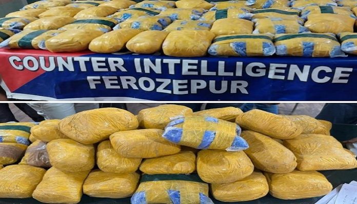 Punjab drug bust