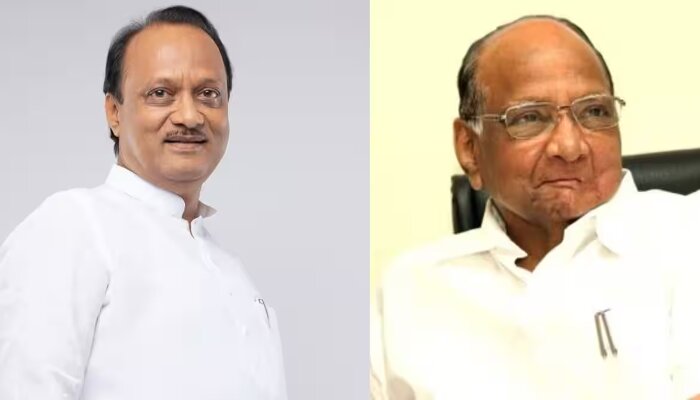 I am not saying that he is our leader: Sharad Pawar takes a U-turn after saying that Ajit Pawar is still an NCP leader