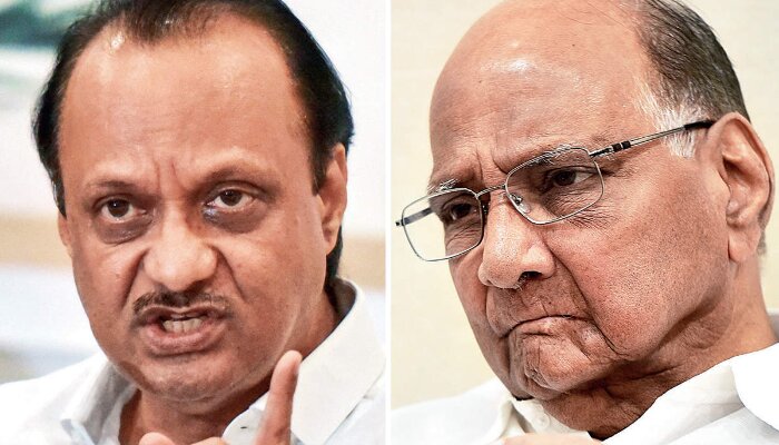 Most of the party has joined the BJP-led alliance in Maharashtra, but Sharad Pawar claims there is no split: Read what logic he offered