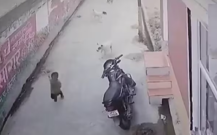Uttar Pradesh: CCTV footage from Amroha city shows toddler running for his life after being attacked by stray dogs