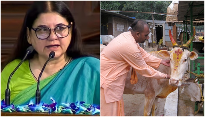 ISKCON sends ₹100 crore defamation notice to BJP MP Maneka Gandhi over her ‘ISKCON sells non-dairy cows to butchers’ comment
