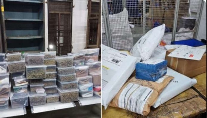 International drug racket operating from Canada busted in Ahmedabad, used dark web, books and toys for drug operations