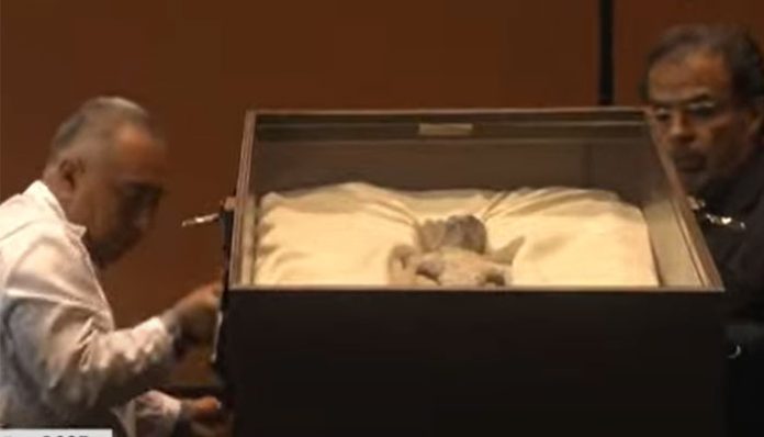 Alleged alien corpse