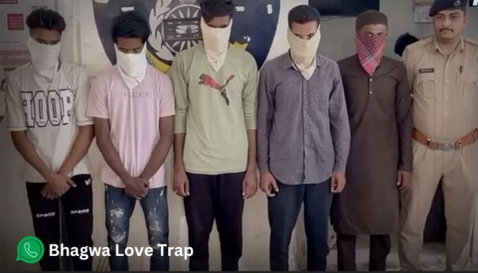 Gujarat police bust 'Bhagwa love trap' Whatsapp groups, Opindia's undercover investigation exposed similar modus operandi