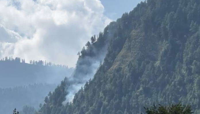 Two to three terrorists are reportedly hiding in the forests of Gadole.