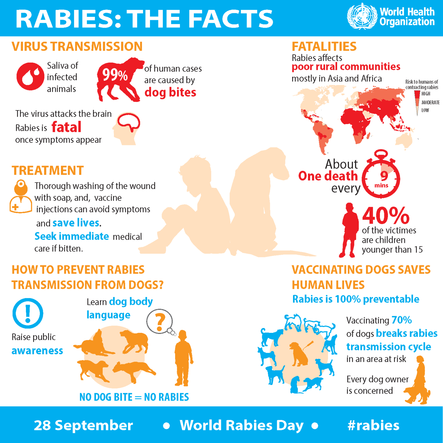 Rabies epidemic in India: Its causes, symptoms and prevention