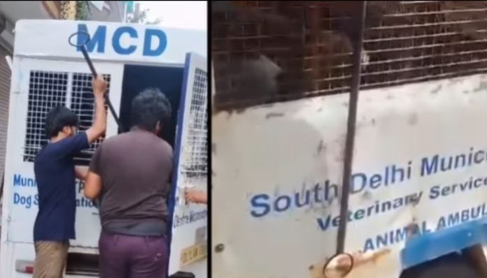Congress blames the Modi government for AAP-led MCD's action against stray dogs ahead of G20 summit, omits context of the original video
